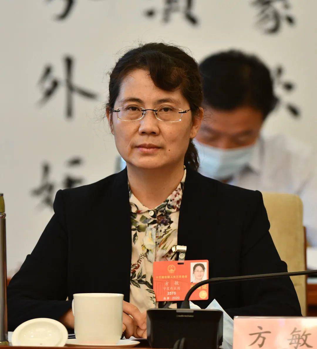 全国人大代表方敏让可再生能源发电企业健康发展