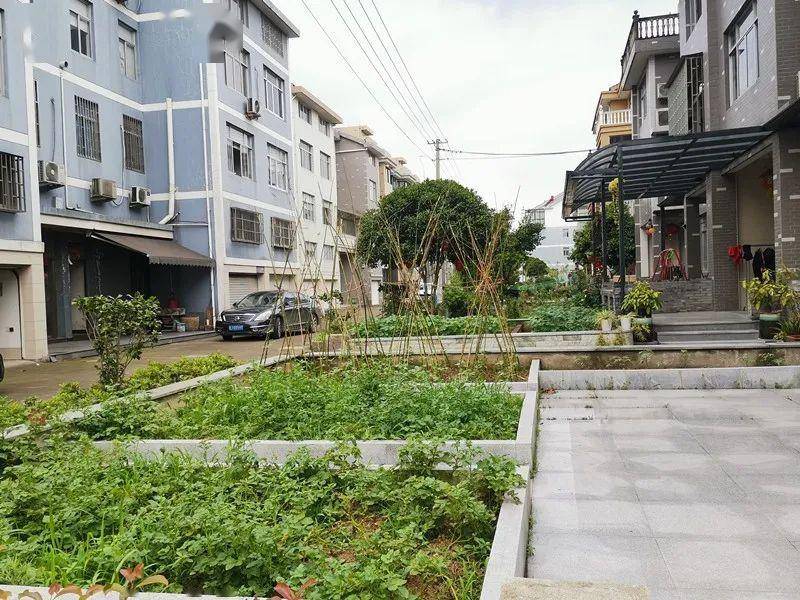 百日攻坚】海游街道"无堆放"示范村系列专题(一)——下坑村