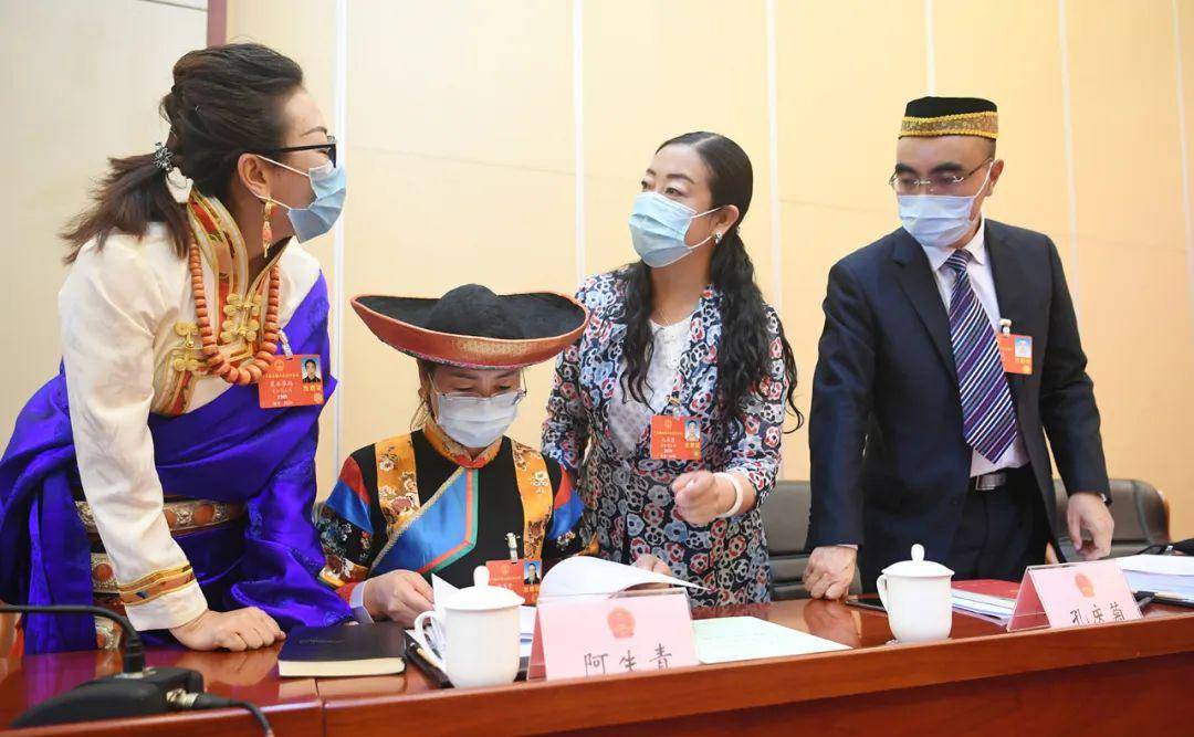 青海代表团审议全国人民代表大会关于建立健全香港特别