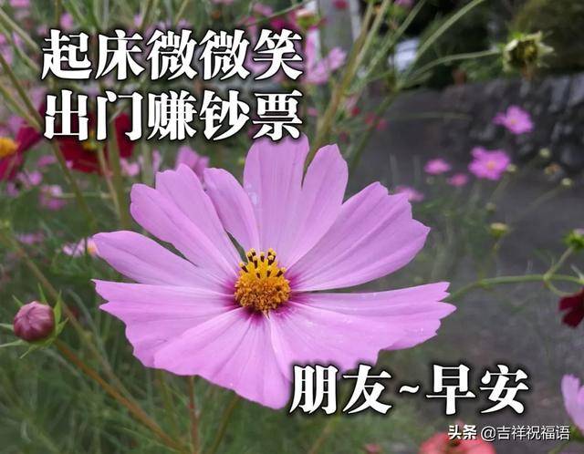 大家早上好祝福语加图片朋友早晨问候语带表情