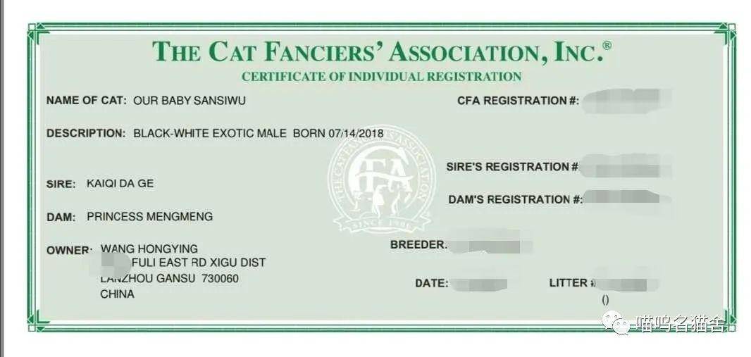 科普cfa猫协会血统证书