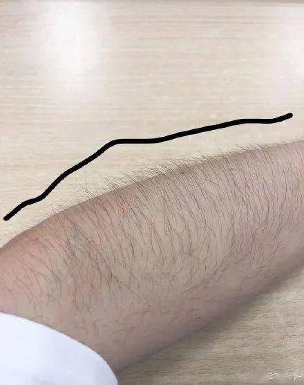 女生的腿毛手毛能有多茂盛?