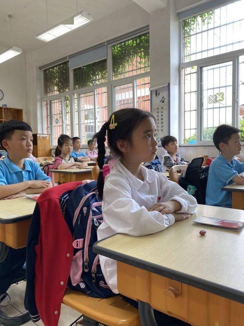 你好光荣的少先队记蔚斗小学一年级队前教育活动