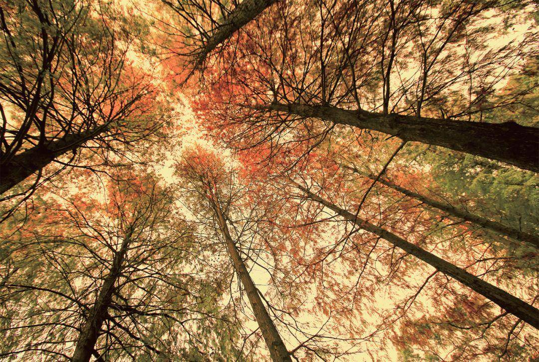 仰,俯,平,三种不同拍摄角度,具体应当怎么用?