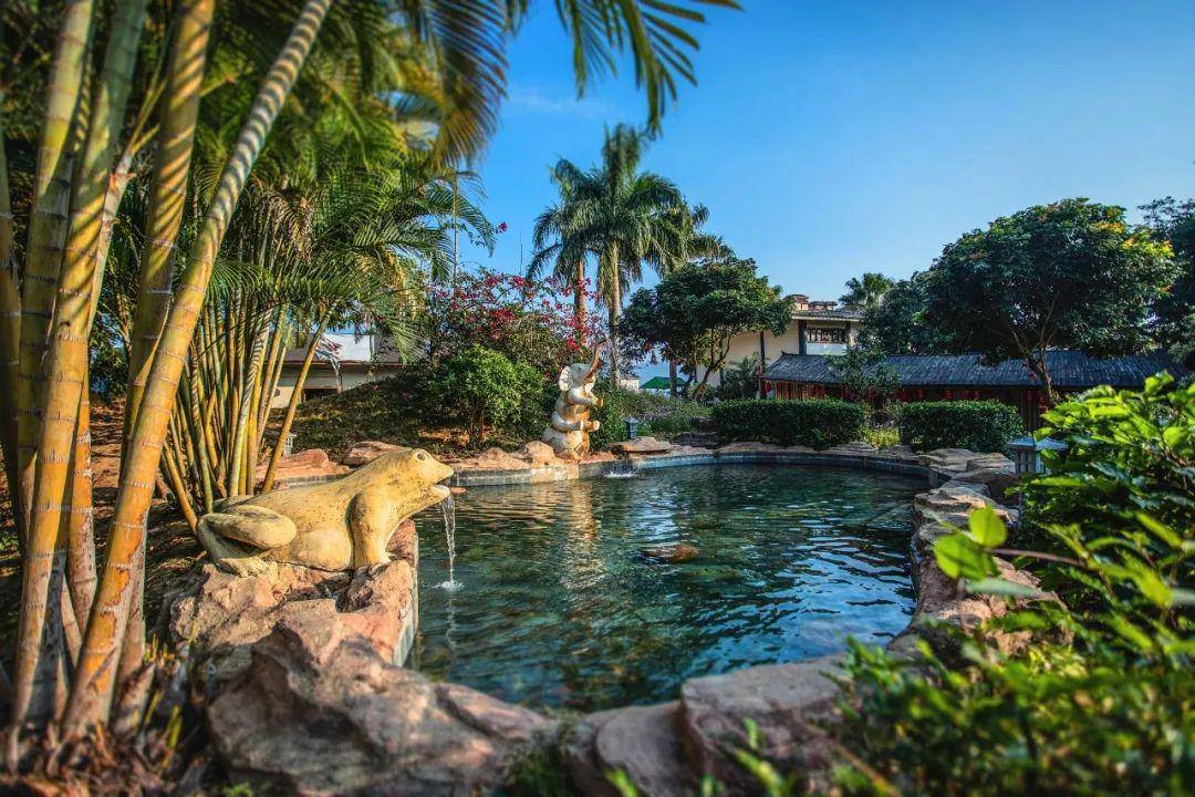 玩转"六一"| 带"熊孩子"到盘龙湾开启水上撒欢模式~_温泉