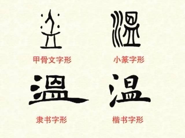 温字的演变过程图片图片