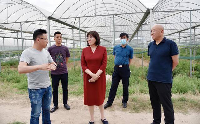 李婧:发挥农业科技优势 全力建好实训基地 为深化上合组织国家合作