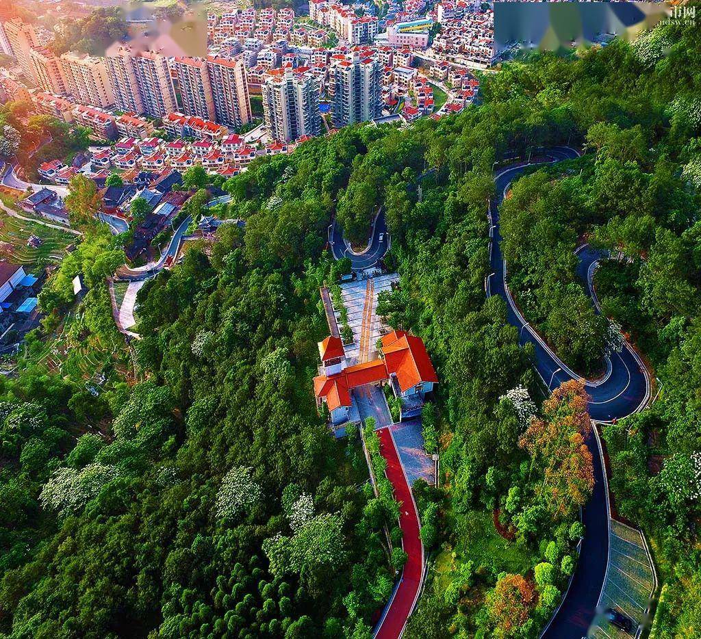 中国绿都 最氧三明 | 守护青山绿水,三明市检察院这么做!