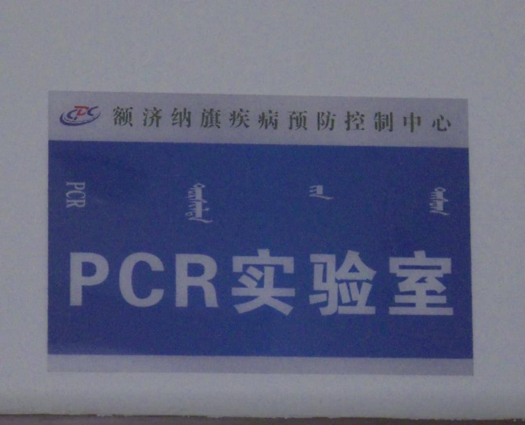 额济纳旗疾病预防控制中心pcr实验室正式投入使用