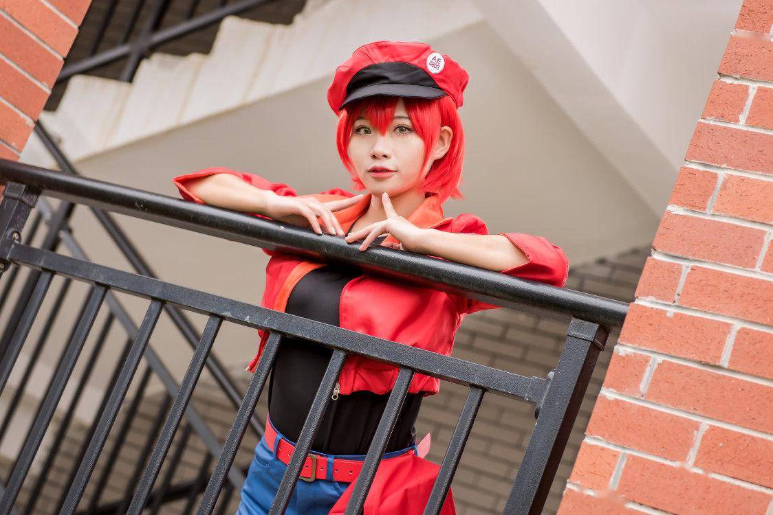 工作细胞 红细胞cosplay