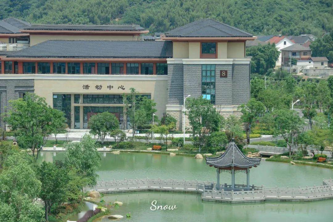 影诗在杭医逛懂