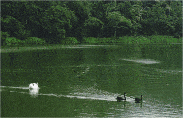 372_240gif 动态图 动图