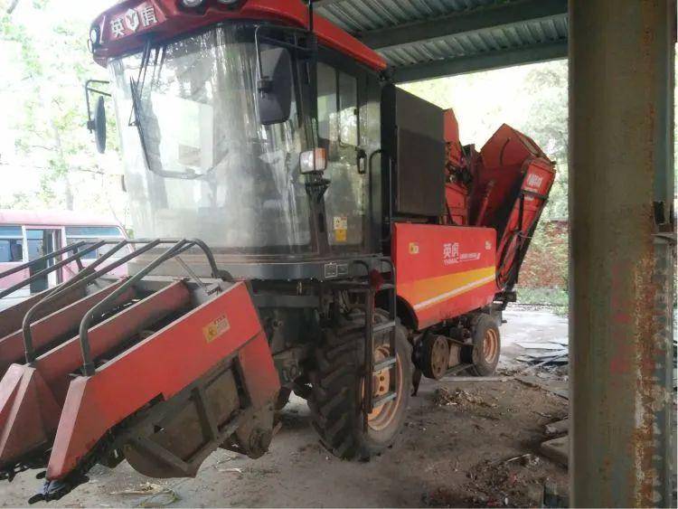 9.2万出售英虎3行玉米收割机