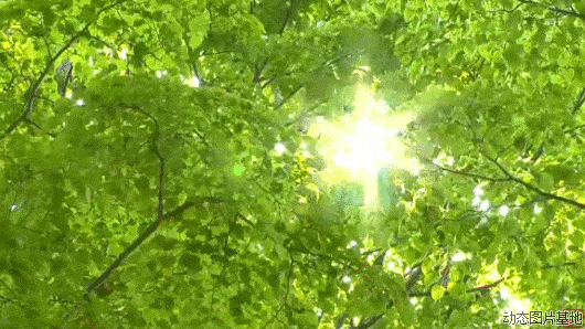 宁河人注意本周末和下周天气