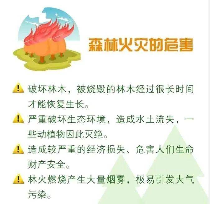 森林防火小知识应知应会!_手机搜狐网