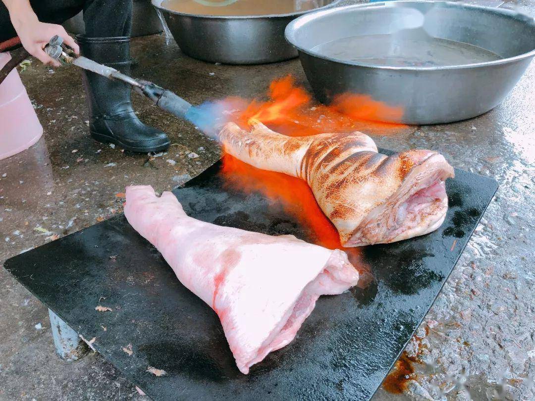 然后将猪脚块泡在香料酱油里先大火烧开,再转小火熬肉使多余的油脂