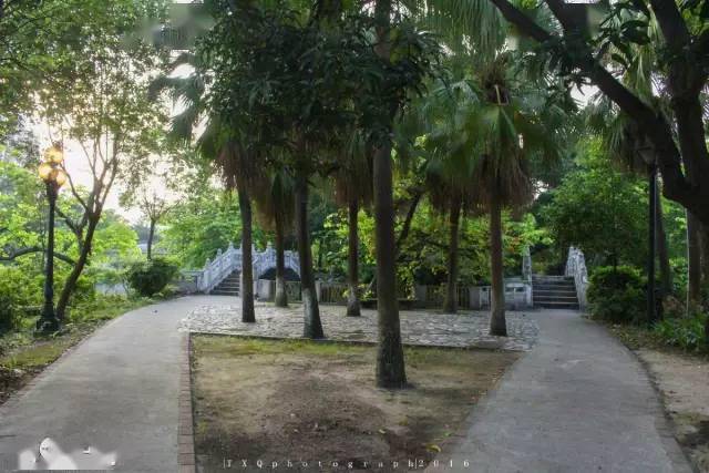 遇见台山丨向秀丽塔