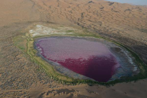 这是5月30日傍晚拍摄的达格图湖(无人机照片).