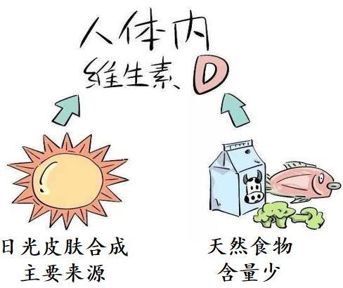 维生素d——没我们想象的简单