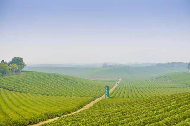 地点:金华市汤溪镇石羊村九峰牧场交通:市区出发——宾虹路直开经虹戴