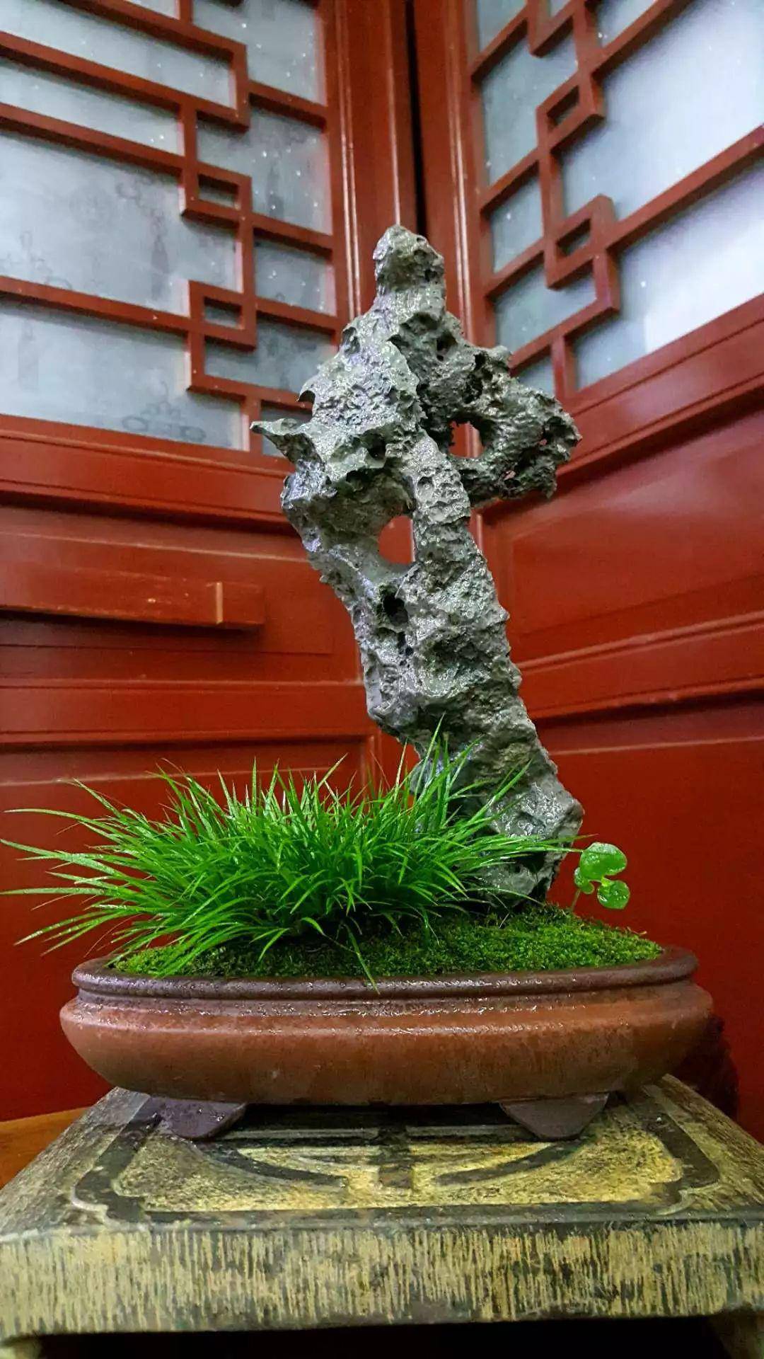 蒲友铁骨的附石菖蒲法