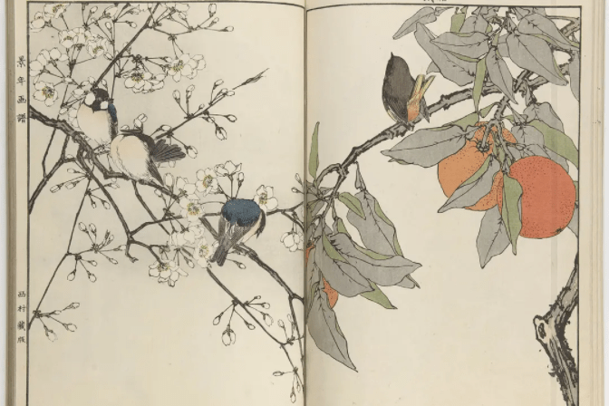 景年花鸟画谱》：这套日本美术教材，影响了一代中国绘画大家_手机搜狐网