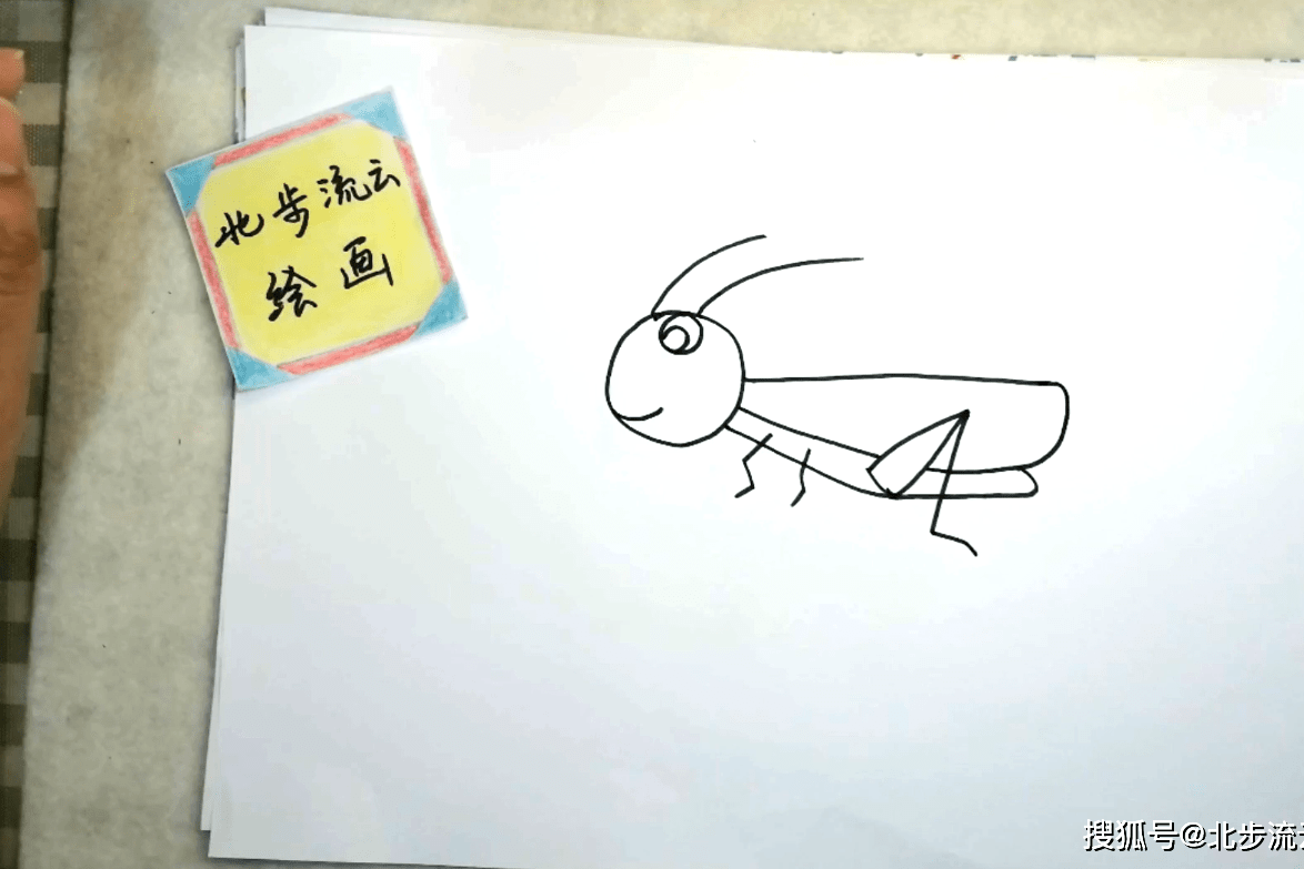 儿童简笔画蚱蜢简单又有趣绘画步骤素材