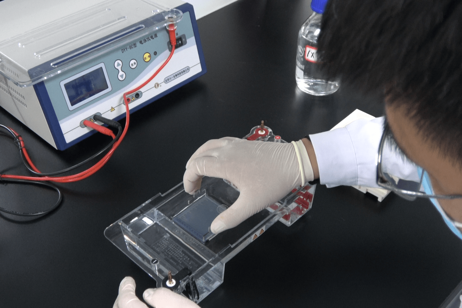 琼脂糖凝胶电泳技术