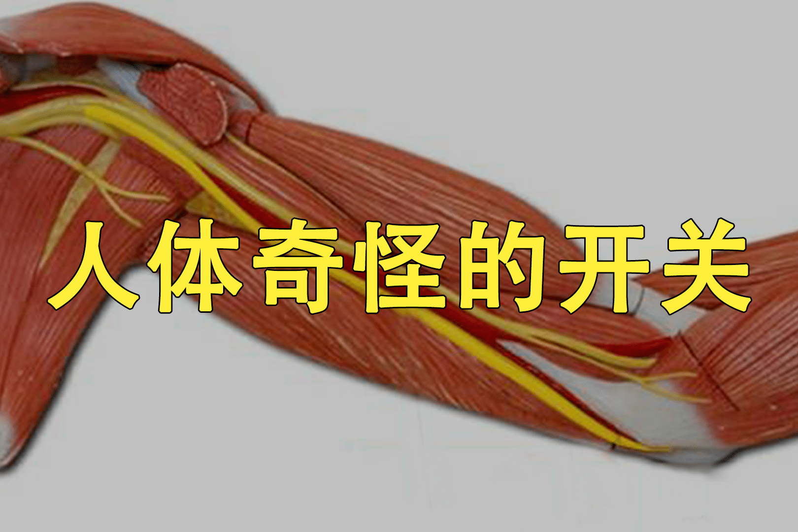 人体有哪些奇怪的开关?