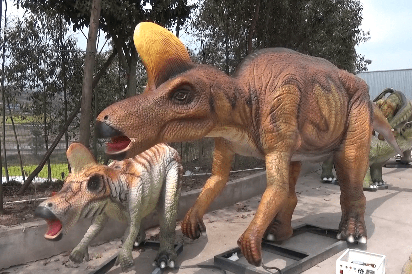 盔头龙仿真动物模型展示_盔头_仿真