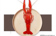 5月，小龙虾正当季，哪里的小龙虾最好吃，潜江、盱眙和长沙？