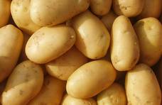 土豆发芽变绿了，还能吃吗？很多人都搞错了，明白了避免浪费