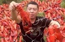 网红“炫富式”吃龙虾，却被粉丝“揭穿”，网友：到底谁傻？