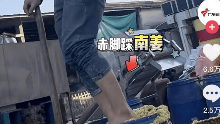 汕头再现工人赤脚踩腌菜，国内食品安全监管应该加强吗？