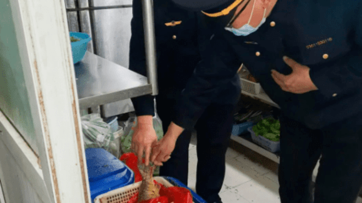 后厨垃圾桶发现炸鱼半条、豆腐5块，你觉得算浪费吗？