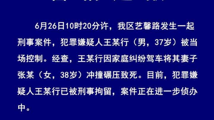 男子驾车反复碾压妻子致其死亡，你怎么看？