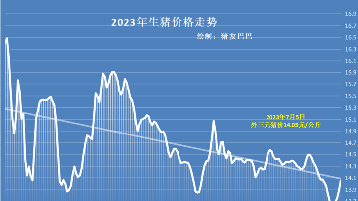 你觉得猪价上涨的原因是什么？