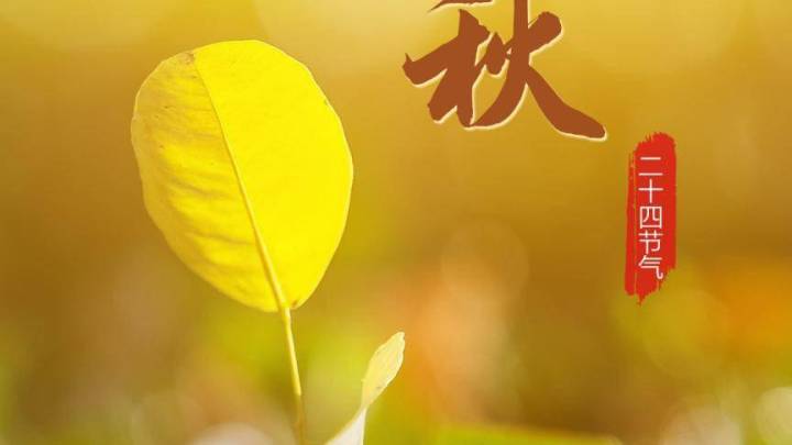 今日立秋，夏未尽，秋已至，人间最美是清秋吗？