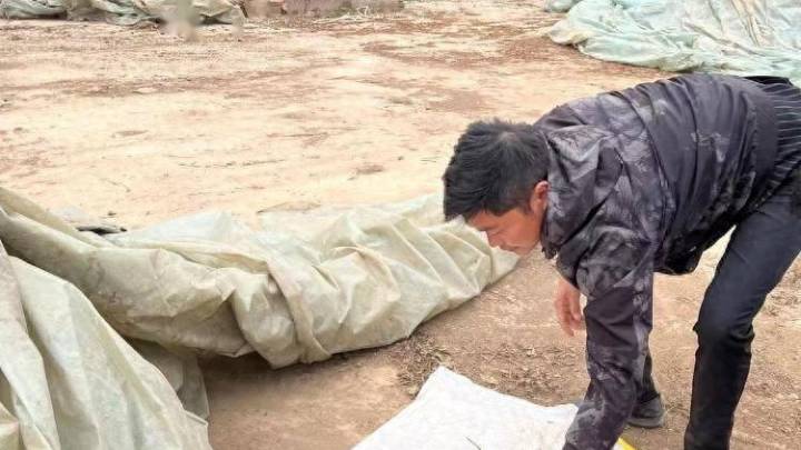 当机械化收割遇上拾荒权，你怎么看？