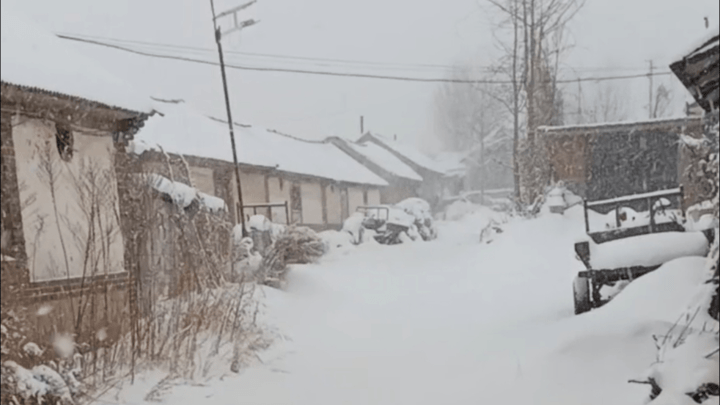 烟台遭遇极端性冷流暴雪，你还会去北极科考吗？