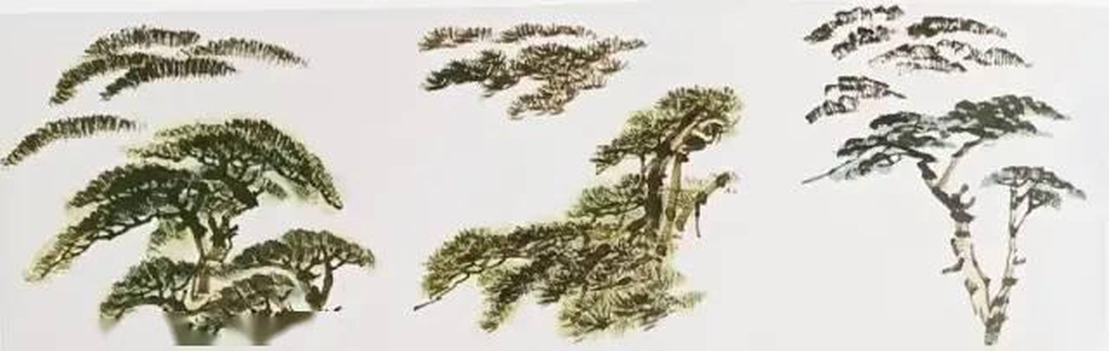 国画：松树的各种画法「图解」