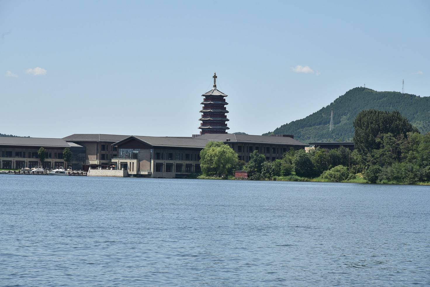 我读道德经水会给我们答案