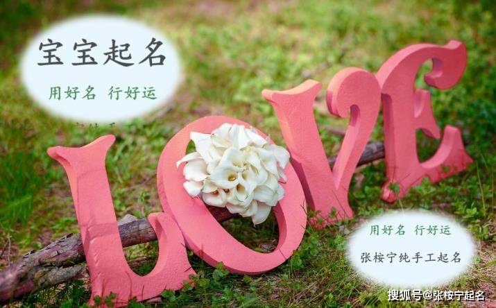 生肖羊在2024年带来好运微信头像花卉图案展现生机与希望