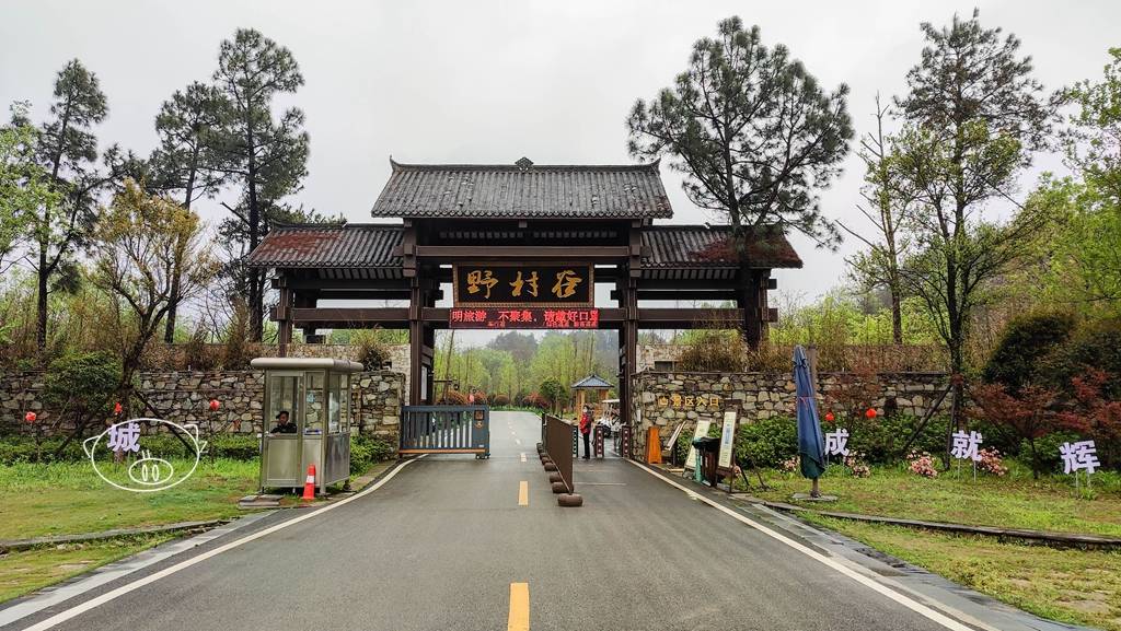 武汉野村谷鸟语花香彩蝶翩翩空气超好负厘子满满