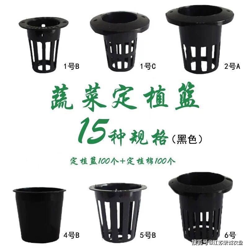 定植篮 你选对了吗 快来看看吧 植物