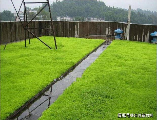 平顶种植屋面漏水怎么处理