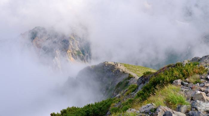 苏泊尔的“康巴赫劫”背后：传统巨头的惯性困局正在逼近-家电圈官网