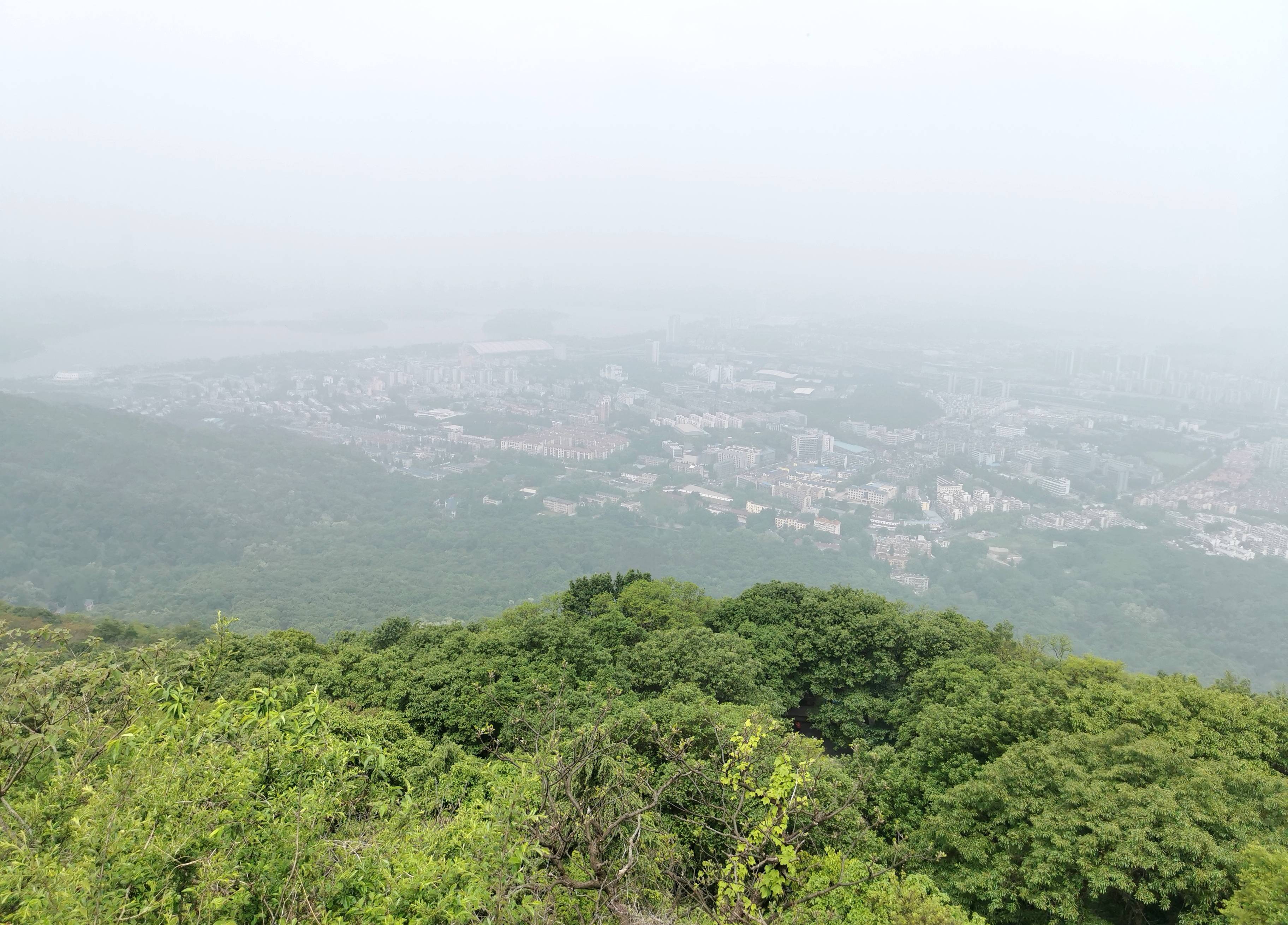 紫金山位於江蘇省南京市玄武區,又稱鐘山,江南四大名山之一,有