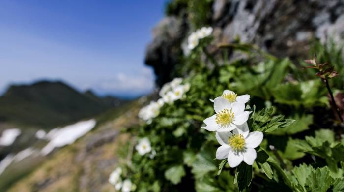 国家新一轮重磅促消费政策来袭，家电厂商能否借东风？-家电圈官网