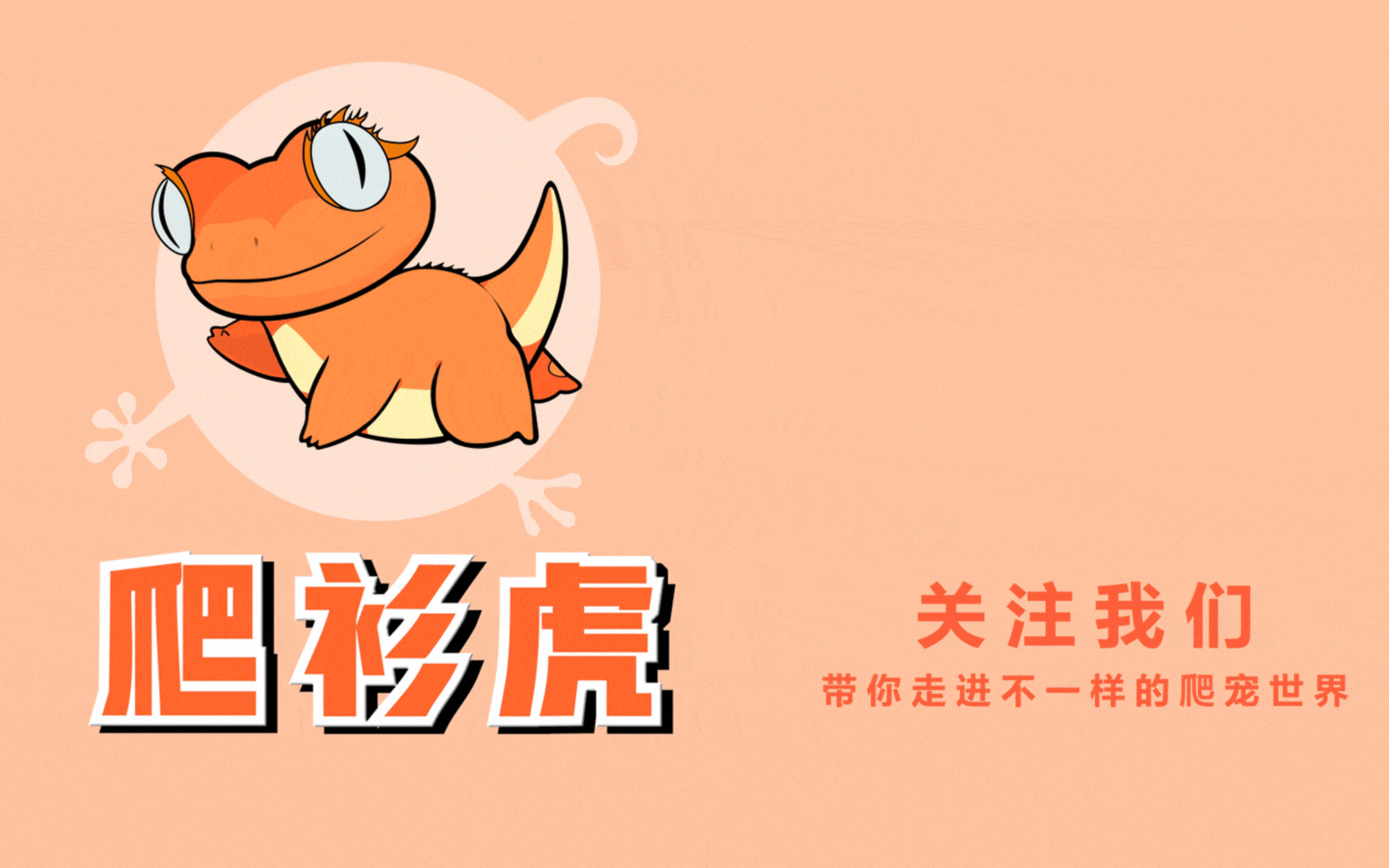 睫角守宫莉莉白基因到底是怎样的存在